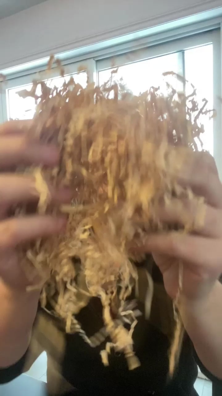 Charger la vidéo : 