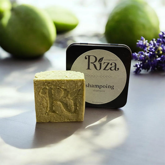 shampoing solide naturel pour cheveux sec pellicule zéro déchet écologique voyage camping